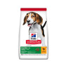 HILLS SP Ca Puppy Medium Chicken 2,5 kg