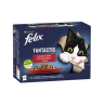 Nestlé FELIX Fantastic cat Multipack mesni izbor žele vrećica 12x85 g
