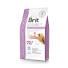 Brit Veterinary Diets GF dog Ultra-hypoallergenic 2 kg