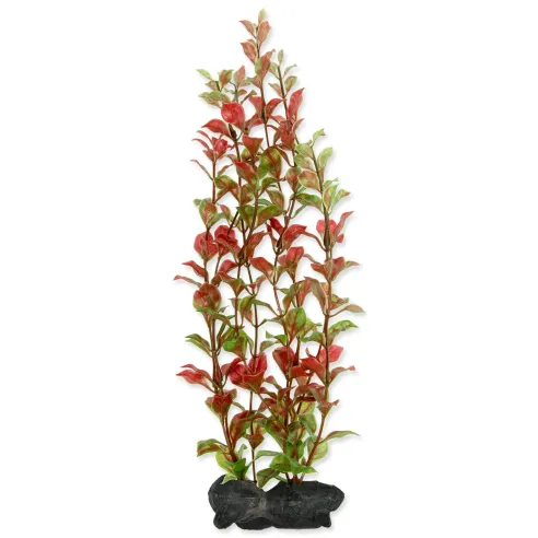 Dekoracija Tetra Biljka Crvena Ludwigia L 30cm