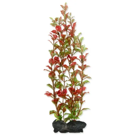 Dekoracija Tetra Biljka Crvena Ludwigia L 30cm