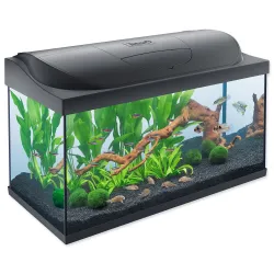 Akvarijski set Tetra Starter line LED 76x47x38cm 105l
