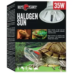 Žarulja Repti Planet Halogen Sun 35W