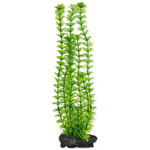 Dekoracija Tetra biljka Ambulia L 30 cm
