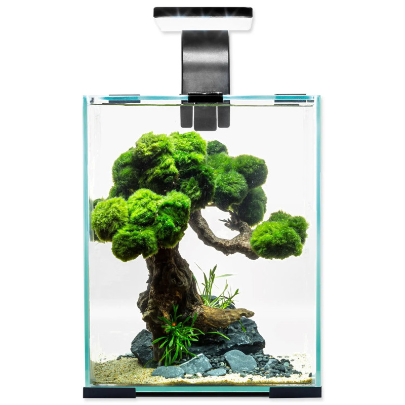Akvarijski set Aquael SHRIMP SMART Day & Night crni 20x20x25cm 10l