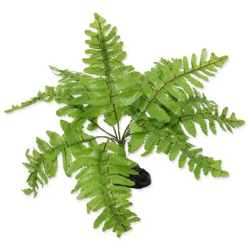 Dekoracija Repti Planet Biljka paprat Nephrolepis 20cm