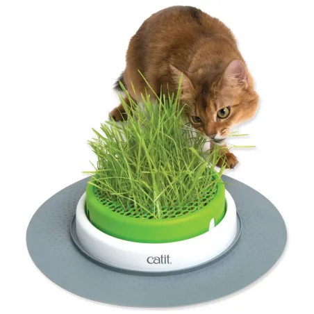Travnjak Catit 2.0