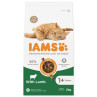 Hrana za odrasle mačke IAMS Lamb 2 kg