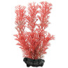 Dekoracija Tetra biljka Foxtail Red S 15cm
