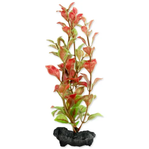 Dekoracija Tetra biljka Red Ludwigia S 15 cm