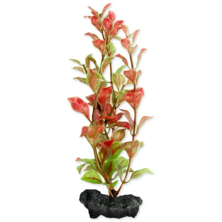 Dekoracija Tetra biljka Red Ludwigia S 15 cm