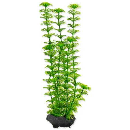Dekoracija Tetra Biljka Ambulia M 23cm