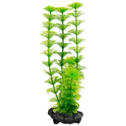 Dekoracija Tetra biljka Ambulia S 15 cm