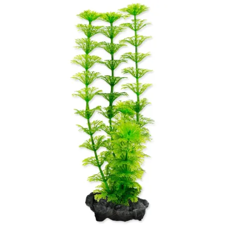 Dekoracija Tetra biljka Ambulia S 15 cm