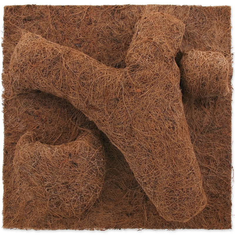 Pozadina Repti Planet Coco Planter 30x30cm