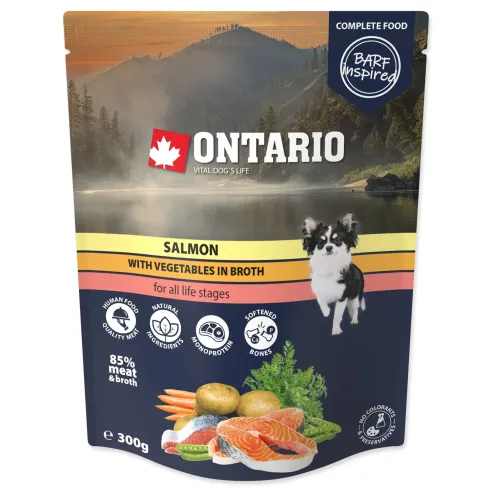Kesica Ontario losos s povrćem u temeljcu 300g