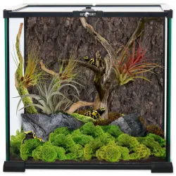 Stakleni terarij Repti Planet 30x30x30cm