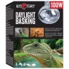 Žarulja Repti Planet Daylight Basking Spot 100W
