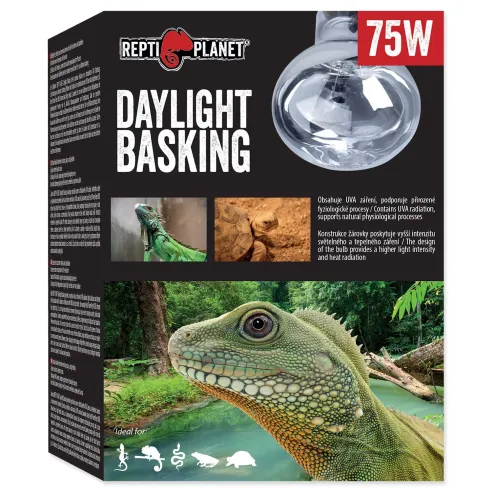 Žarulja Repti Planet Daylight Basking Spot 75W