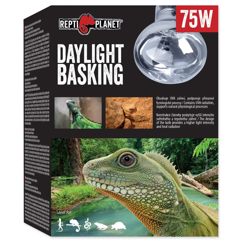 Žarulja Repti Planet Daylight Basking Spot 75W