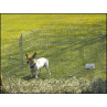 Ograda Savic Dog Park 2 91 cm