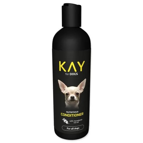 Regenerator KAY 250 ml