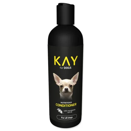 Regenerator KAY 250 ml