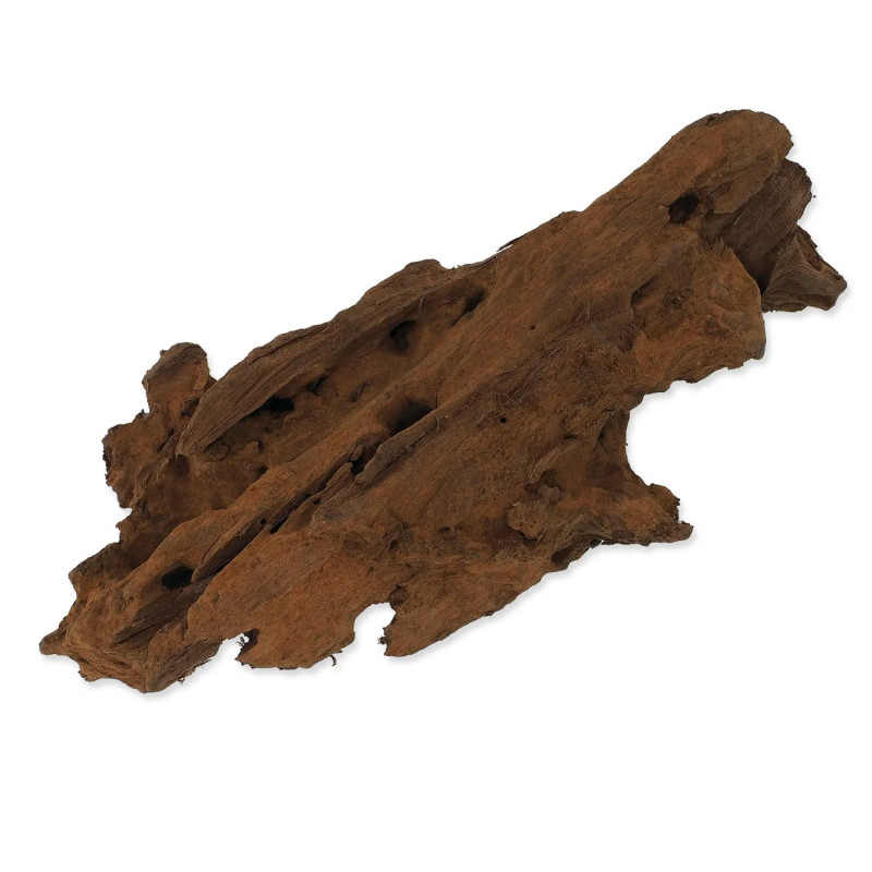 Dekoracija Repti Planet Korijen DriftWood Bulk XS 19-23cm
