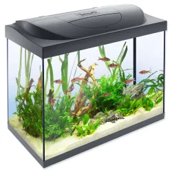 Akvarijski set Tetra Starter Line LED 61x32x51 cm 80 l