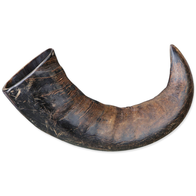Žvakaći rog Genuine buffalo veliki
