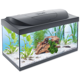 Akvarijski set Tetra Starter Line LED 60 x 30 x 30 cm 54 l