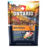 Ontario odrasli srednji Riba i smeđa riža 0,1kg