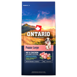 Ontario Puppy & Junior Large Piletina i slatki krumpir 12 kg