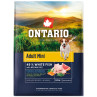 Hrana za odrasle Ontario Mini Fish & Brown Rice 2,25 kg