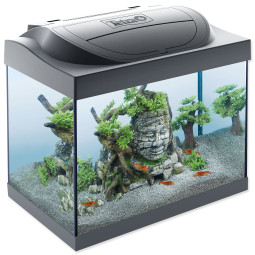 Akvarijski set Tetra Starter Line LED Shrimp 44x37x30 cm 30 l
