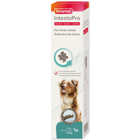 Pasta Beaphar IntestoPro L za velike pse 2x 20 ml