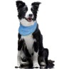 Marama Dog Fantasy rashladna S 20-30 cm