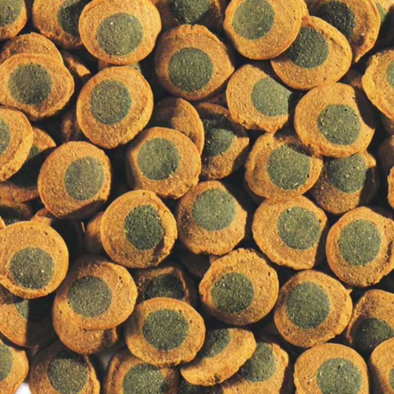 Hrana Tetra Pleco Spirulina Wafers vrećica 15g