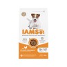 Hrana za pse IAMS Dog Senior Small & Medium Piletina 3kg
