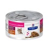 HILLS Diet Feline GI BIOME Stew kura, zelenina konzerva 82 g