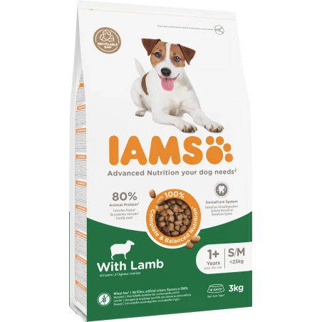 Hrana za pse IAMS Dog Adult Small & Medium Jagnjetina 3 kg