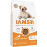 IAMS Dog Senior Large Chicken 3kg