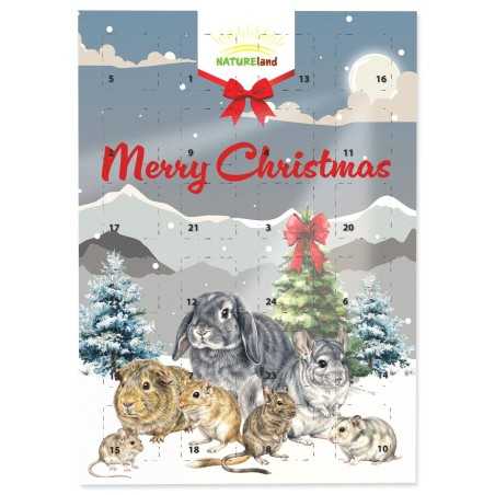 Kalendar Nature Land adventski 360g