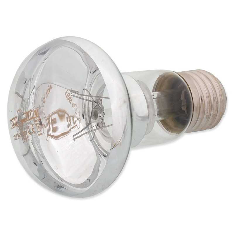 Žarulja Repti Planet Daylight Basking Spot 75W
