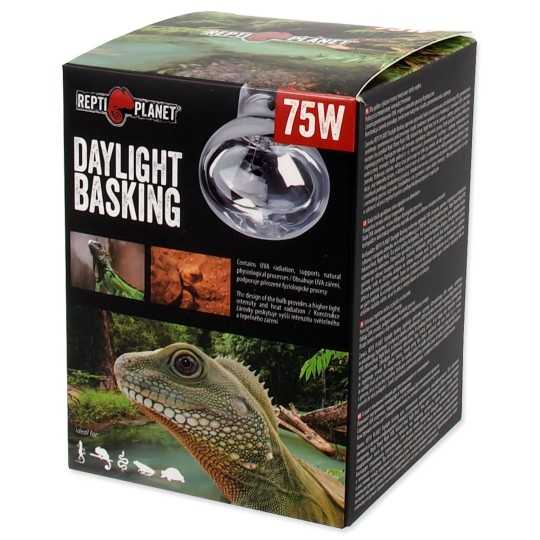 Žarulja Repti Planet Daylight Basking Spot 75W