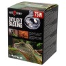 Žarulja Repti Planet Daylight Basking Spot 75W