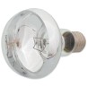 Žarulja Repti Planet Daylight Basking Spot 100W
