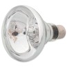 Žarulja Repti Planet Daylight Basking Spot 150W